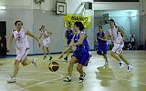 Basket C321036